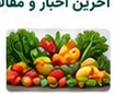 تغذیه سالم؛ پایه یک زندگی بهتر